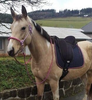 Provazový sidepull + otěže