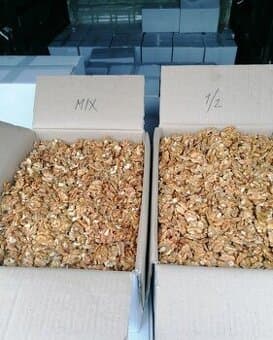 Vlašské orechy 2025