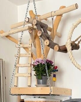 Strom pro papoušky plus hračky.