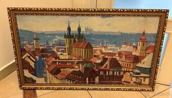 Krásný obraz starý 53 let