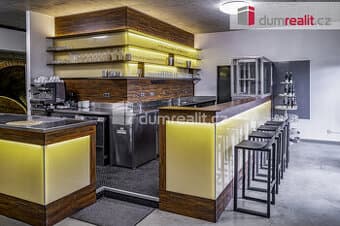 Bar nebo kavárna s vinným sklepem Pavlov u Dolních Věstonic