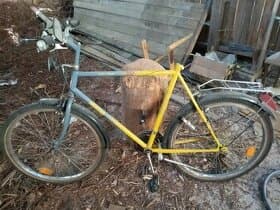 Prodám starší kolo