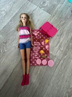 Barbie na piknik
