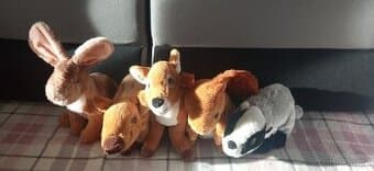 Plyšáci - zvířata z lesa