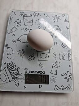 Prodám domácí vajíčka