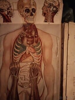 Prodám starší knihu Lékařství