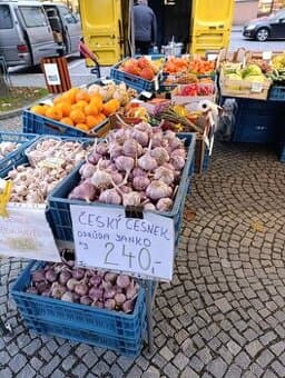 Brambory na uskladnění a český česnek na sadbu a na uskladně
