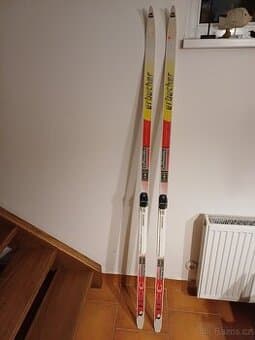 Běžky Erbacher se šupinami a vázáním SNS 180 cm