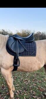 Kentaur Danae 17,5 komora 3