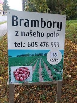 Domácí brambory na prodej