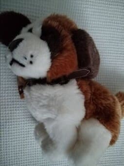 Bernardýn nový 30 cm