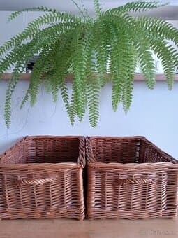 🌿 2 HRANATÉ proutěné košíky s uchem 🌿