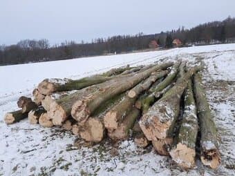 Kulatina habrová ,palivové dříví