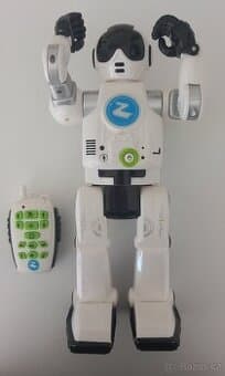 Robot Zigy