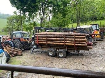 Palivové dřevo měkké, kulatina na řezivo