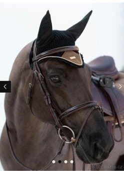 Čabraka Equestrian Stockholm