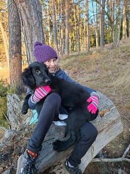 Flat coated retriever