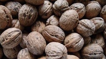 Prodám vlašské ořechy neloupané