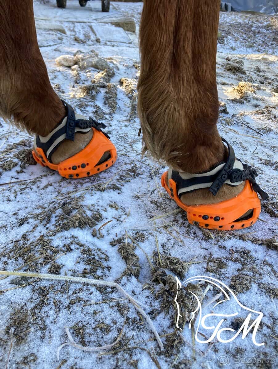 Boty pro koně Goodsmith 5