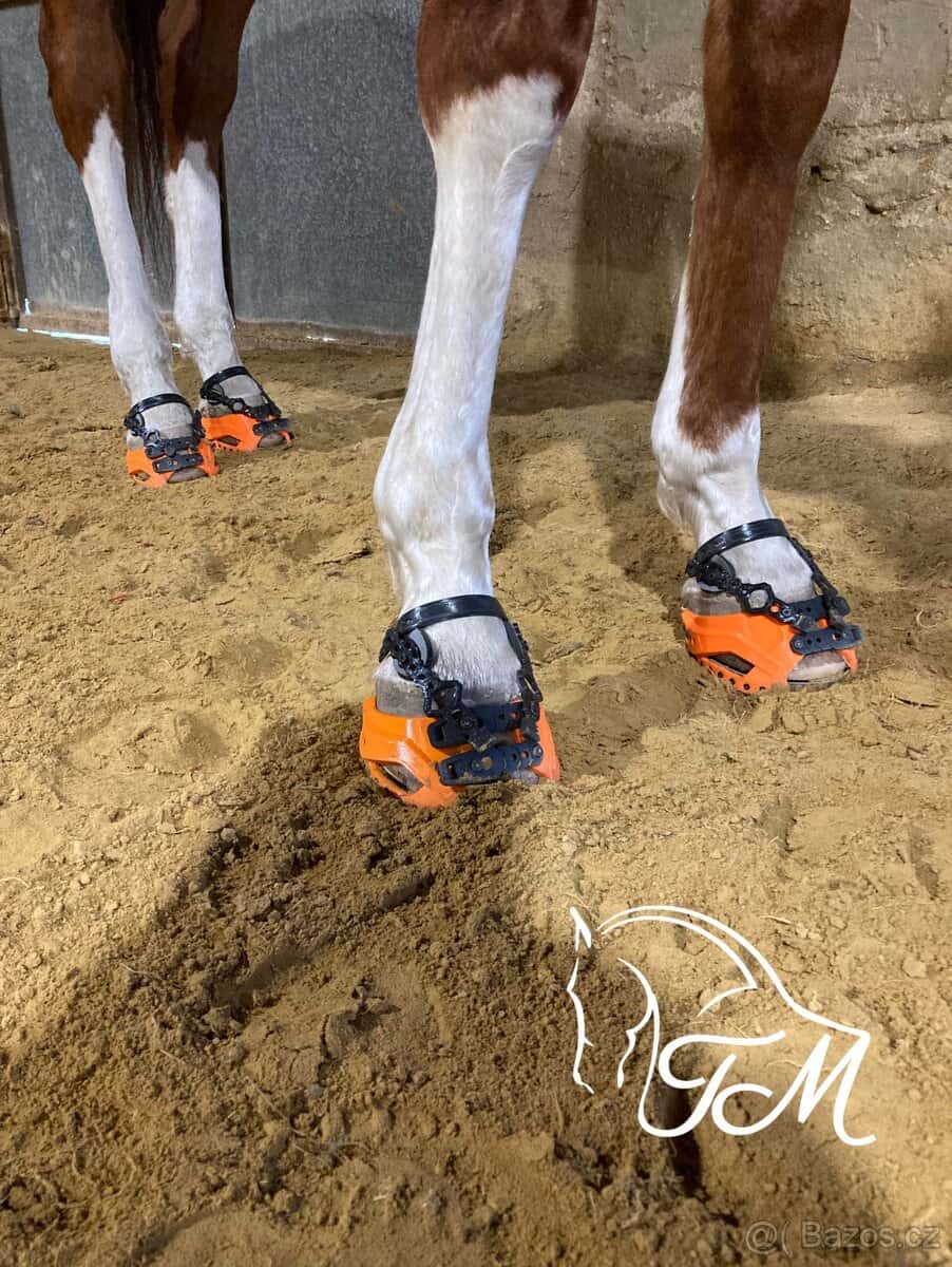 Boty pro koně Goodsmith 7