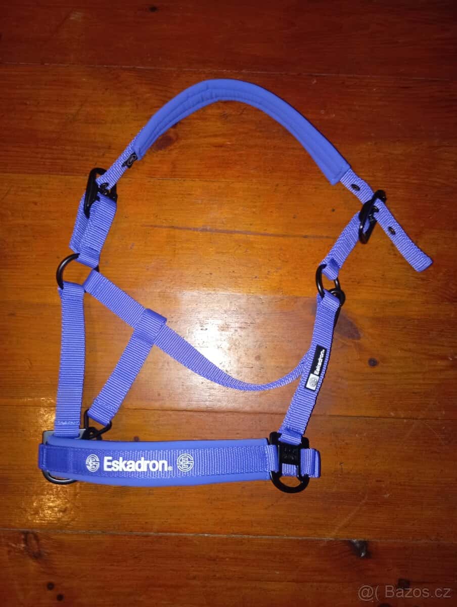 Eskadron dynamic 2024 1