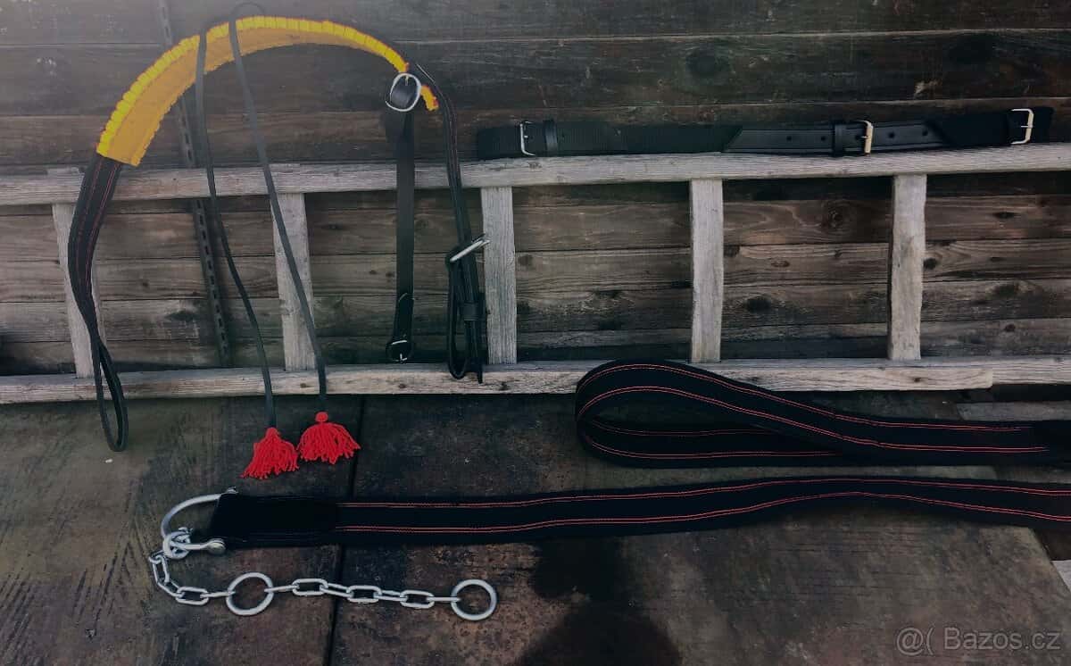 Popruhový postroj 2