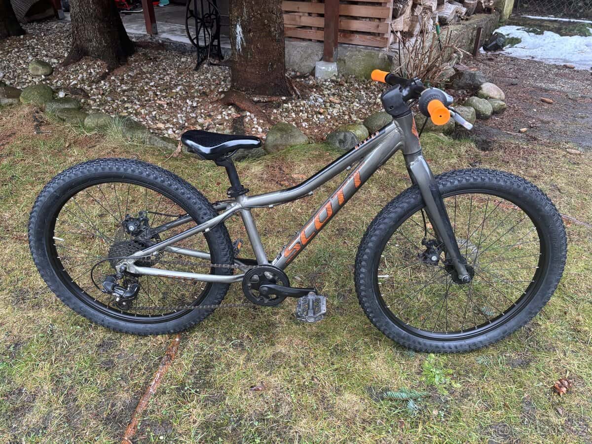 Scott Roxter 24” 1