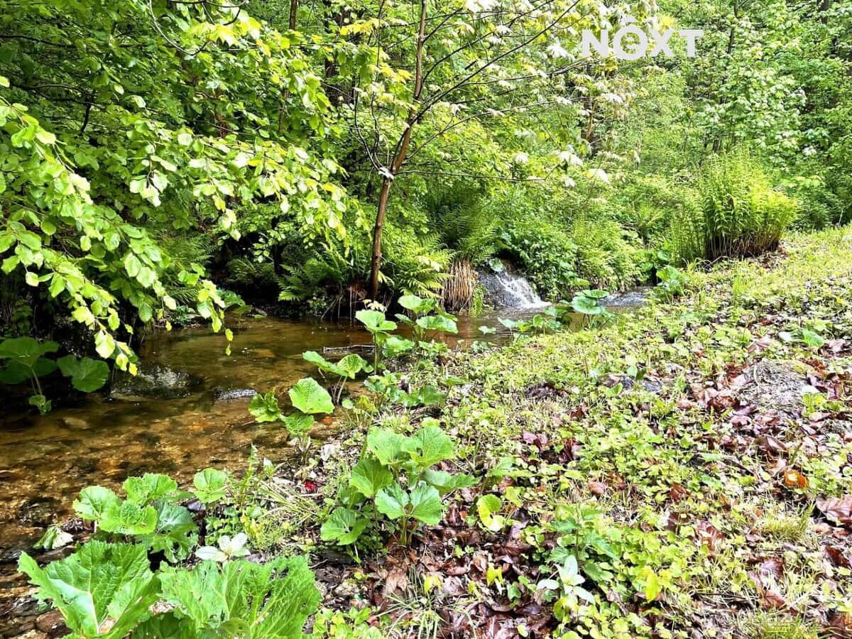 Prodej Chalupa, 170㎡ 10