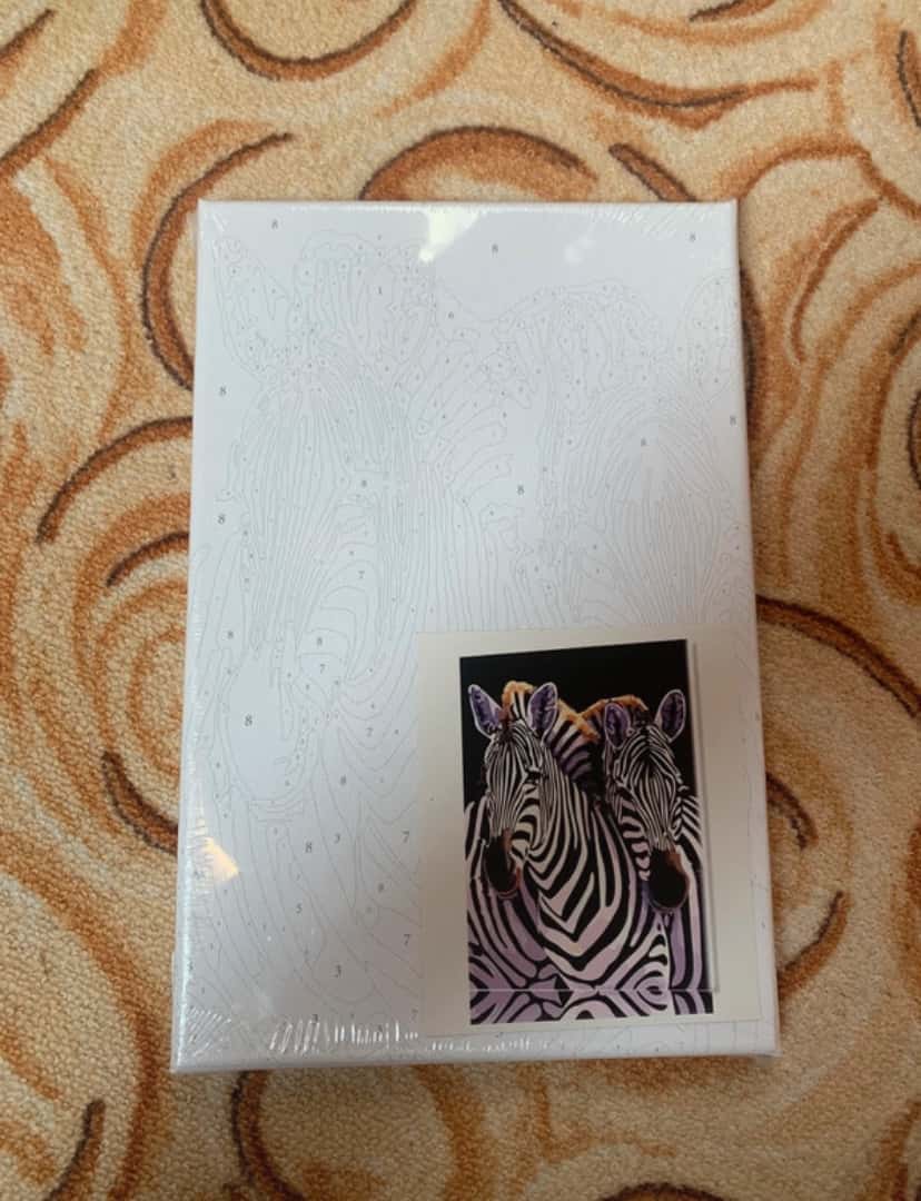 Malování podle čísel – Zebra 1