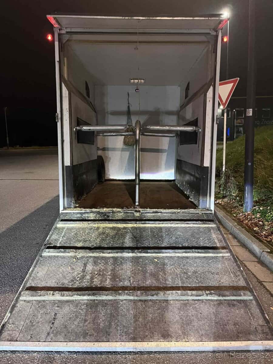 Originál auto na přepravu koňí 2