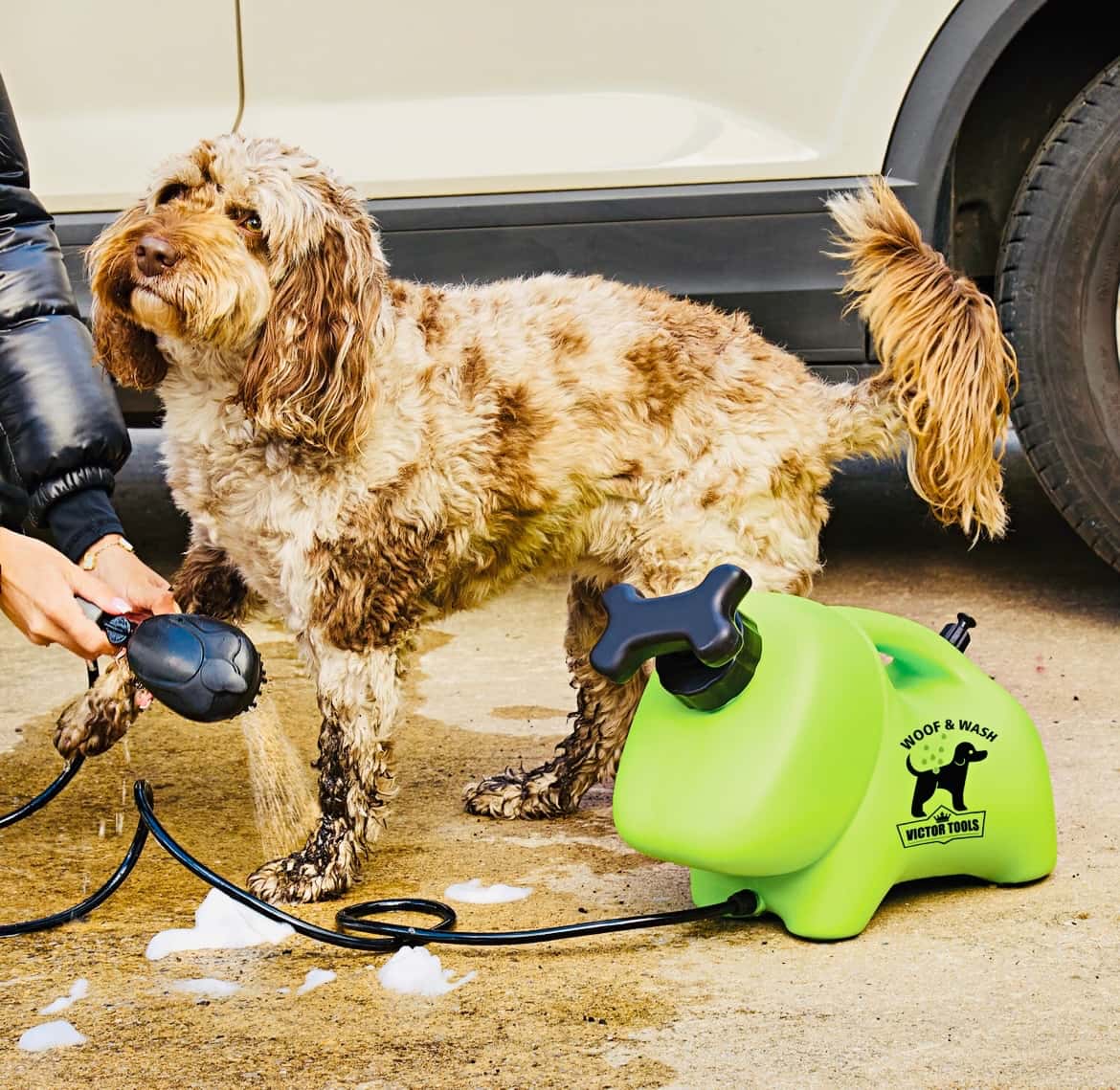 Sprchování pro psy 2