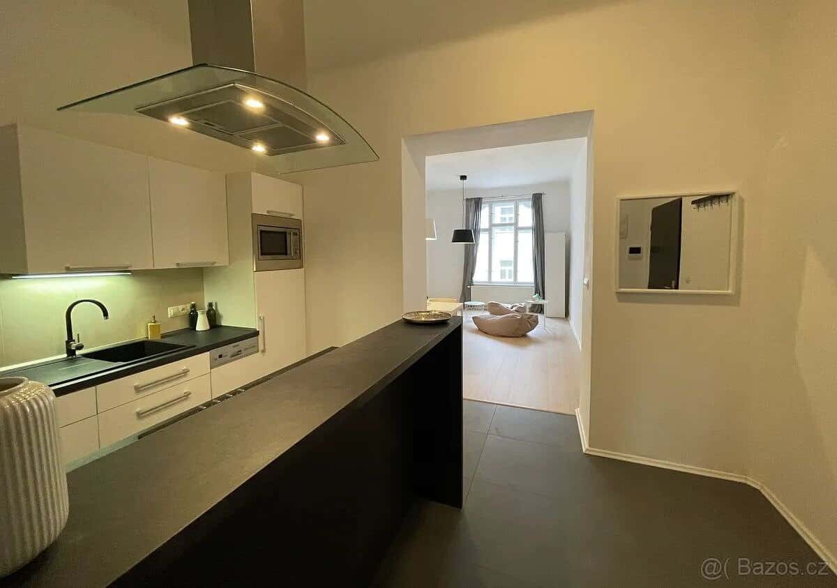 Pronájem 2+1 3